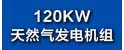 120KW沼气发电机组.jpg