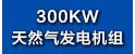 300KW沼气发电机组.jpg